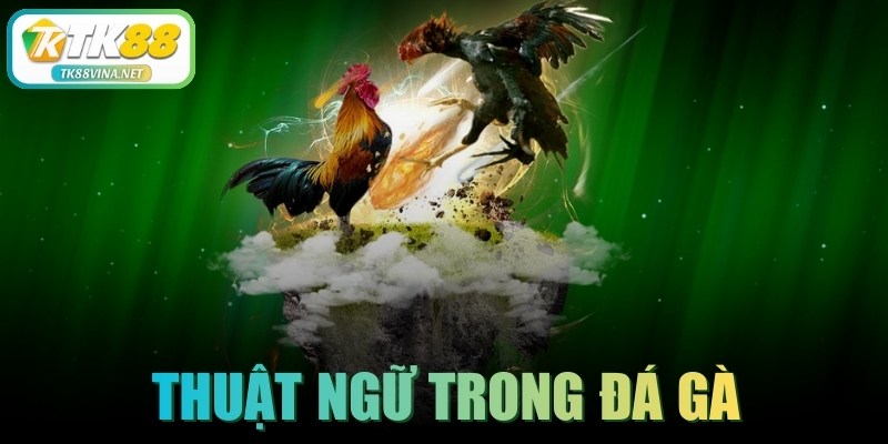 Thuật Ngữ Trong Đá Gà